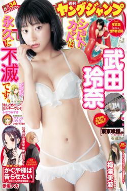 九部检察官电视剧