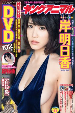 国色芳华电视剧